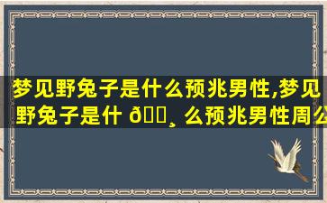 梦见野兔子是什么预兆男性,梦见野兔子是什 🕸 么预兆男性周公解梦